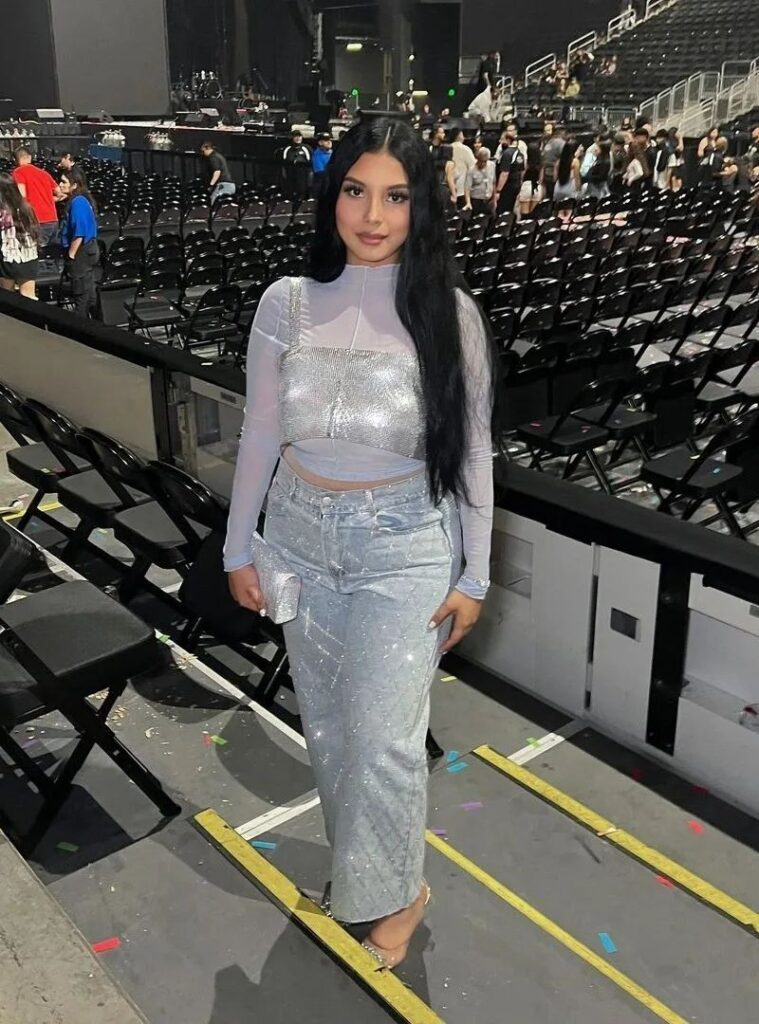 Shimmering Two-Piece Crop Top Set