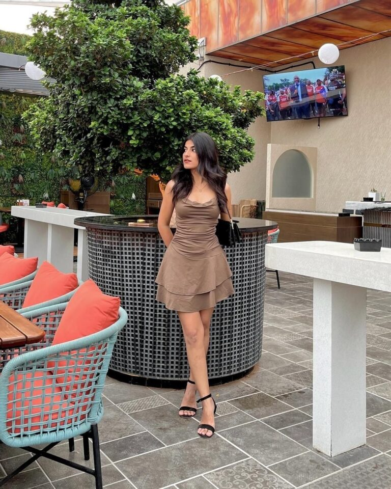 Elegant Taupe Dress for Upscale Dining